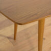 Coffee Table by Hubert Hubert Nepožitek & Bohumil Landsman from Jitona, 1960s - Image 8
