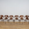 Ant Chair Model 3101 in Teak by Arne Jacobsen for Fritz Hansen, 1970s, Denmark, Set of 8 - Image 3