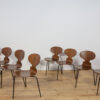 Ant Chair Model 3101 in Teak by Arne Jacobsen for Fritz Hansen, 1970s, Denmark, Set of 8 - Image 5