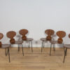 Ant Chair Model 3101 in Teak by Arne Jacobsen for Fritz Hansen, 1970s, Denmark, Set of 6 - Image 3