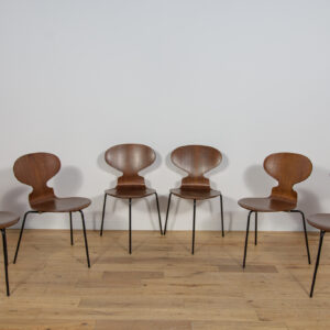Komplet sześciu krzeseł Model 3101 Ant, proj. A. Jacobsen, Fritz Hansen, Dania, lata 70