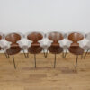 Ant Chair Model 3101 in Teak by Arne Jacobsen for Fritz Hansen, 1970s, Denmark, Set of 6 - Image 6