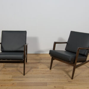 Model 300-139 Armchairs from Swarzędz Furniture Factory, Poland, 1960s, Set of 2