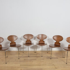 Mid-Century Model 3101 Ant Dining Chairs by Arne Jacobsen for Fritz Hansen, Denmark, 1970s, Set of 6