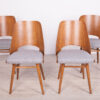 Model Lollipop Dining Chairs from Tatra, 1960s, Set of 4 - Image 3