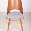 Model Lollipop Dining Chairs from Tatra, 1960s, Set of 4 - Image 6